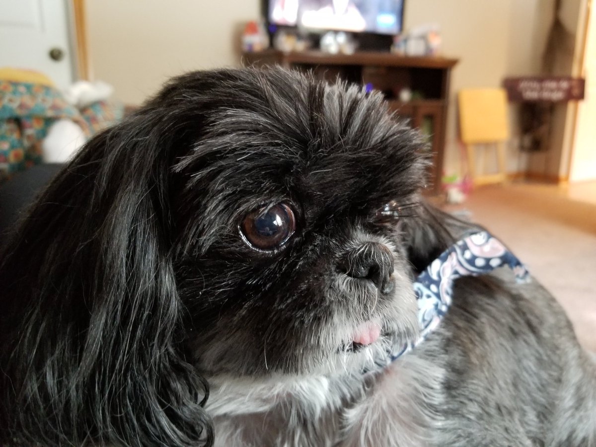 MirandaShelli's tweet image. My girl