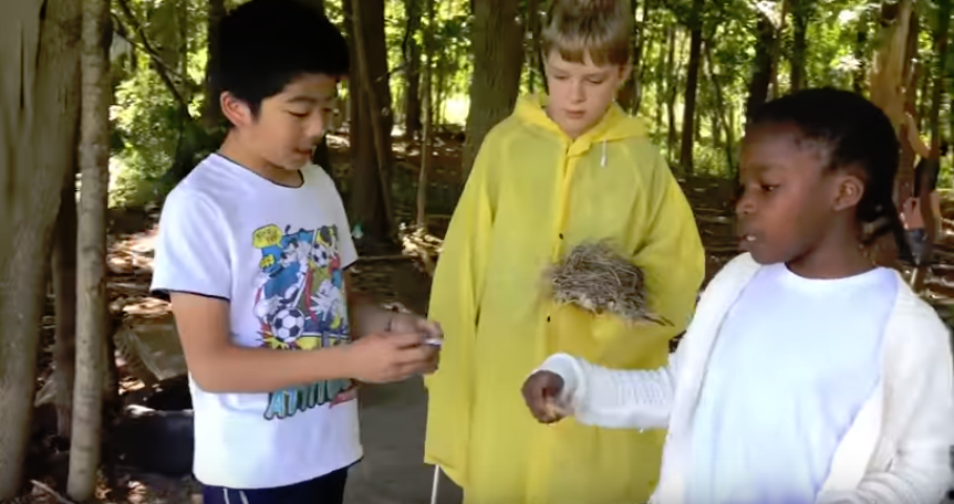 FreeRangeKids's tweet photo. Missed this?
One school's amazing recess. All it requires? Some junk, some time, some freedom. GREAT video:
https://t.co/AW18YSsL2I
#Ithaca
#EarthPlay
#Mbrussoni
#TimGill
#JayBeckwith https://t.co/hcCUf2qh8w