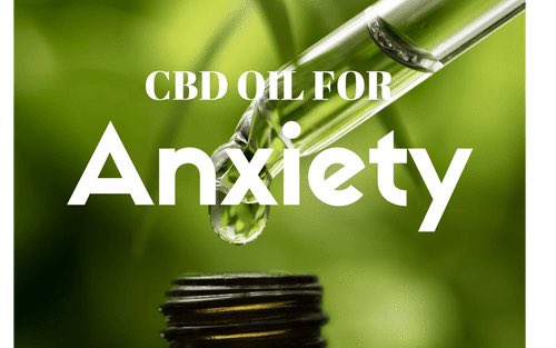 CBDReNU's tweet photo. One in four Americans will suffer from an anxiety disorder during their lifetime. 
Beyond the glowing testimonials of individuals who successfully treat their anxiety with CBD oil, there is also a growing body of scientific evidence that CBD does help. 
Learn More..Link in Bio. https://t.co/kixZao1XHM