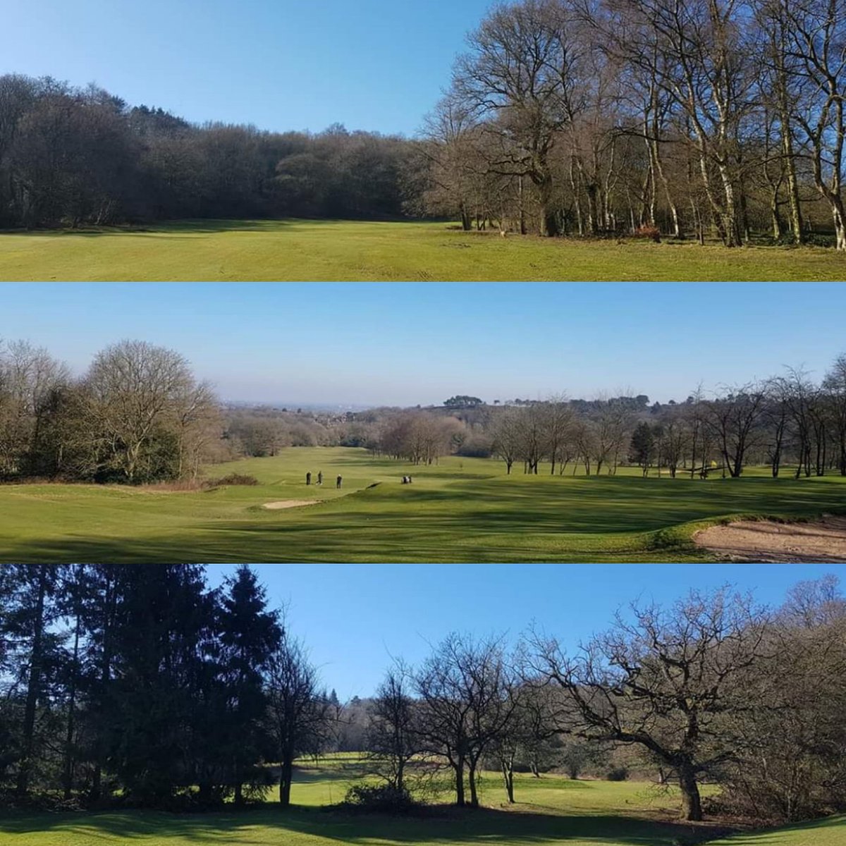 Lickey Hills Golf Course tweet media