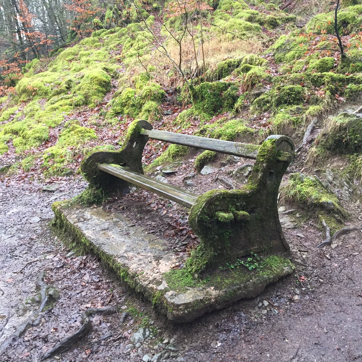BhsMuralHull's tweet photo. @TheMERL Behold, the most wet, mossy and seat-free bench in the lakes. Viewing point on the way to Stockghyll falls, Ambleside. #DullCountrysideSnaps https://t.co/Uz7rImrNHg