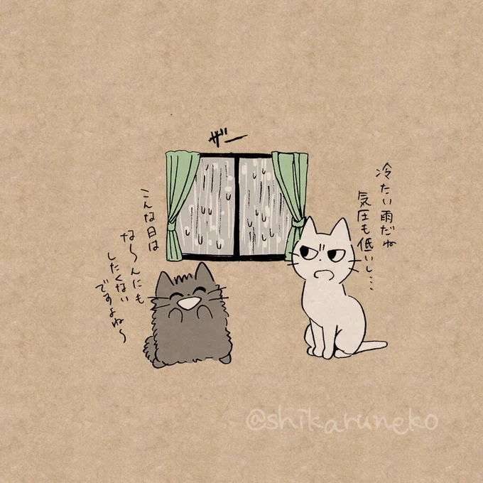 雨の日の しかるねこ と あまやかすねこ 