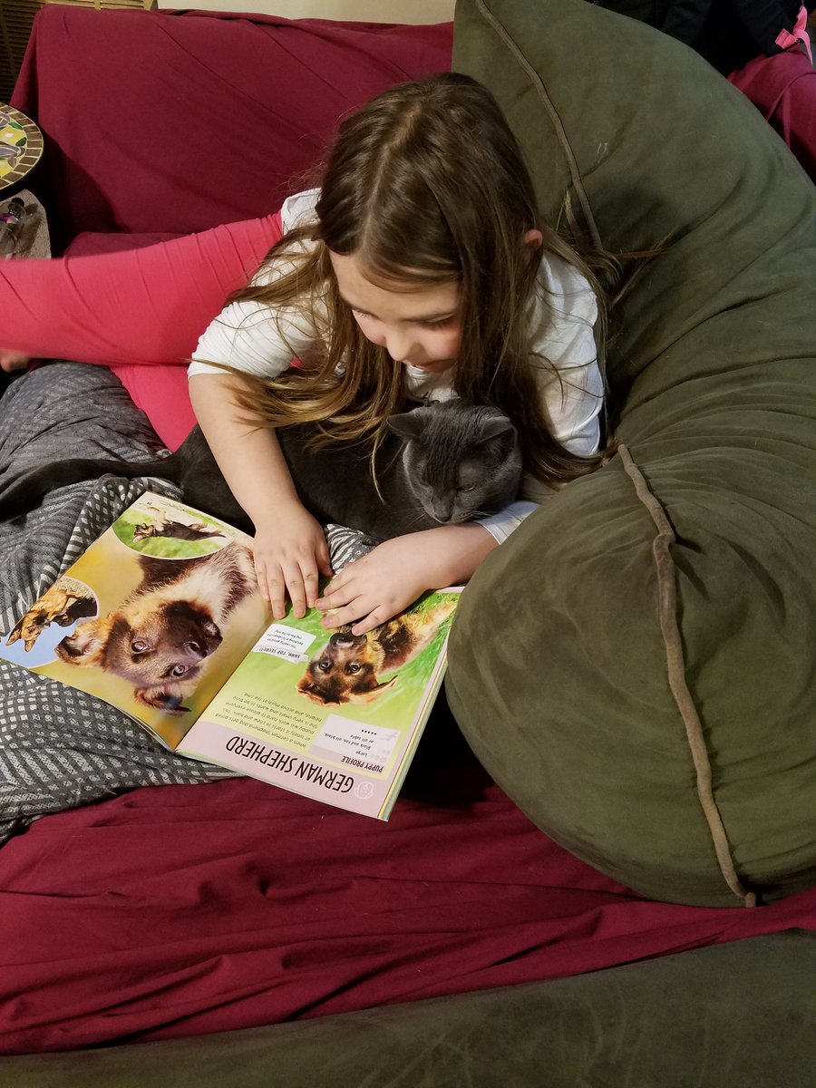 annwil99e's tweet photo. @bsimsmedia Miranda Johnson reading with her cat. https://t.co/uxIXJGG0K1