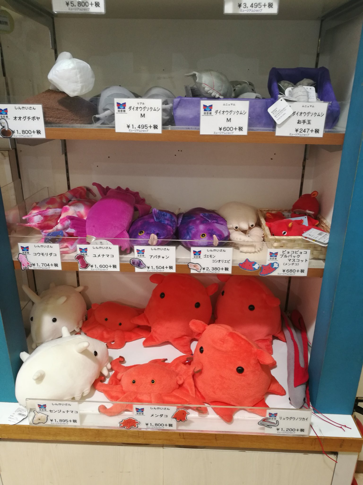 8 17 21トロ箱展 お魚デザイン おととごと ゆかっぺ على تويتر 土曜日に海遊館行ったんだけど 1階のお土産屋さんの深海コーナーがかなり攻めてたのでお知らせしときたい ユメナマコ オオグチボヤってぬいぐるみにできるのね 8 17 21トロ箱展 お魚デザイン おととごと ゆかっぺ على تويتر 土曜日に海遊館行ったんだけど 1階のお土産屋さんの深海コーナーがかなり攻めてたのでお知らせしときたい ユメナマコ オオグチボヤってぬいぐるみにできるのね