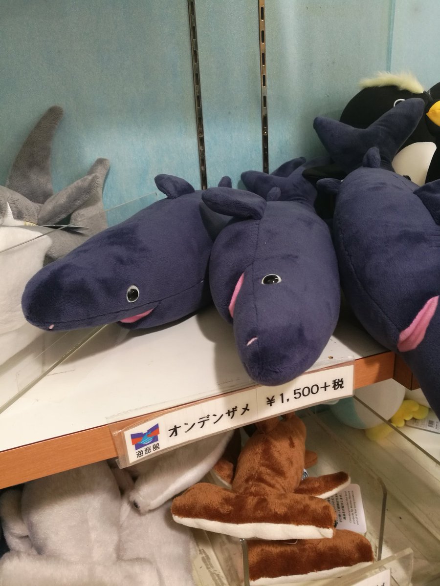 お魚デザイン おととごと ゆかっぺ 2 4 2 15モルモットパラダイス 土曜日に海遊館行ったんだけど 1階のお土産屋さんの深海コーナーがかなり攻めてたのでお知らせしときたい ユメナマコ オオグチボヤってぬいぐるみにできるのね T Co