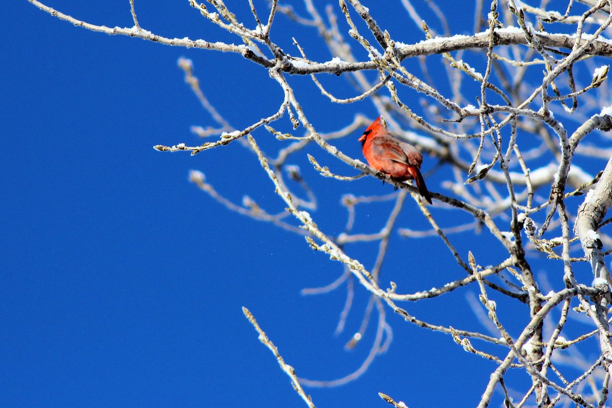 Eagan parkrun tweet media
