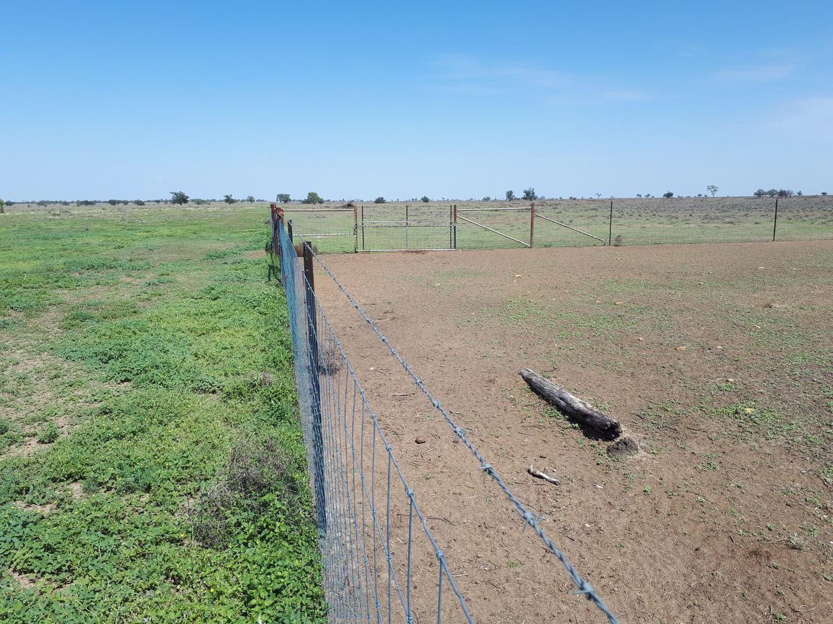 Bryan Ingram (western_station) Twitter