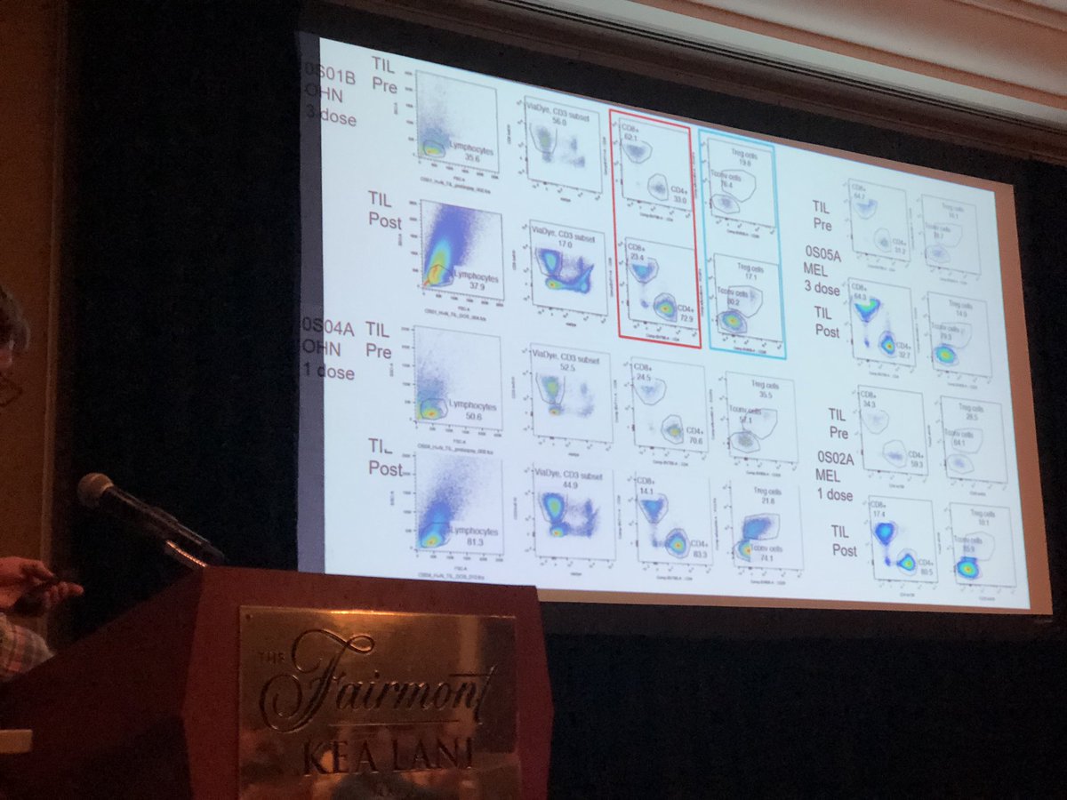 BernardAFox's tweet photo. Wow! Lots of data *SLIDE SET 5* Dr @BrendanCurtiMD ROCKSTAR #Immunotherapist @ChilesResearch @ProvHealth talks @agon_ox #DeepDive19 #ImmunoOnc19/ data of #neoadjuvant #OX40 clinical trial/ #HNSCC @rbryanbell & Dr Rom Leidner @AndrewWeinber14 #FinishCancer #headandneckcancer https://t.co/etaVp2CPxX