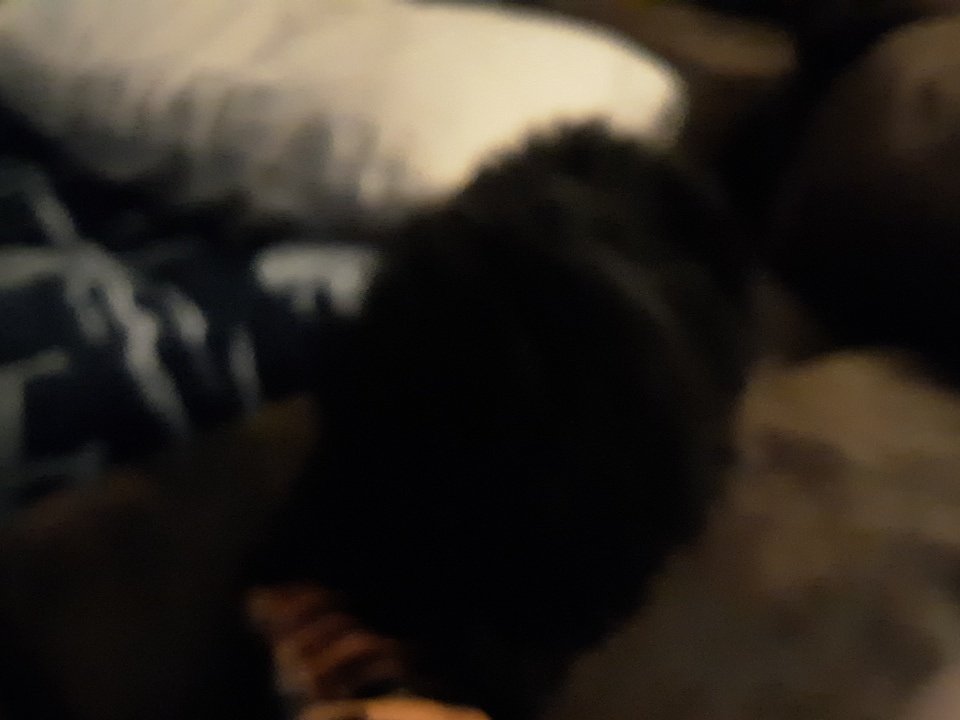 Tanner96740887's tweet image. I bet I cant get to 230 followers by Tomorrow