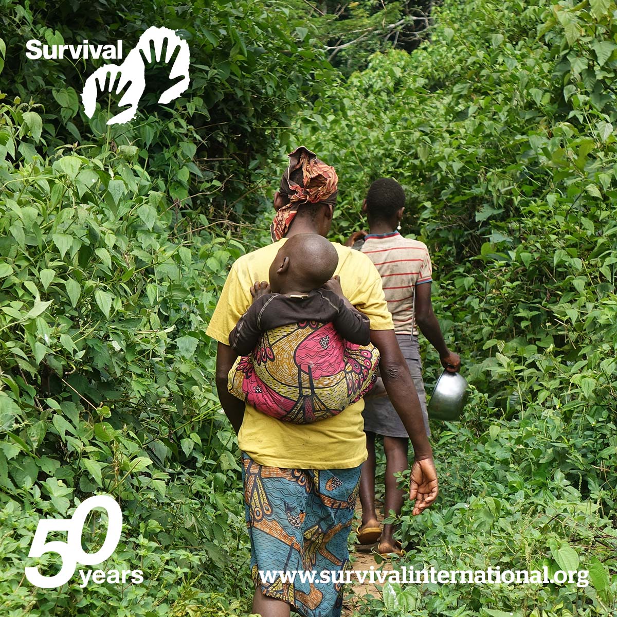 Survival's tweet photo. This #WorldWildlifeDay, we’re calling for an end to colonial conservation. When will big orgs like @WWF stop funding human rights abuses and indigenous land theft, and start respecting indigenous knowledge?
#StopMessokDja #BackingtheBaka #DecolonizeCONservation https://t.co/n9YuDizlvZ