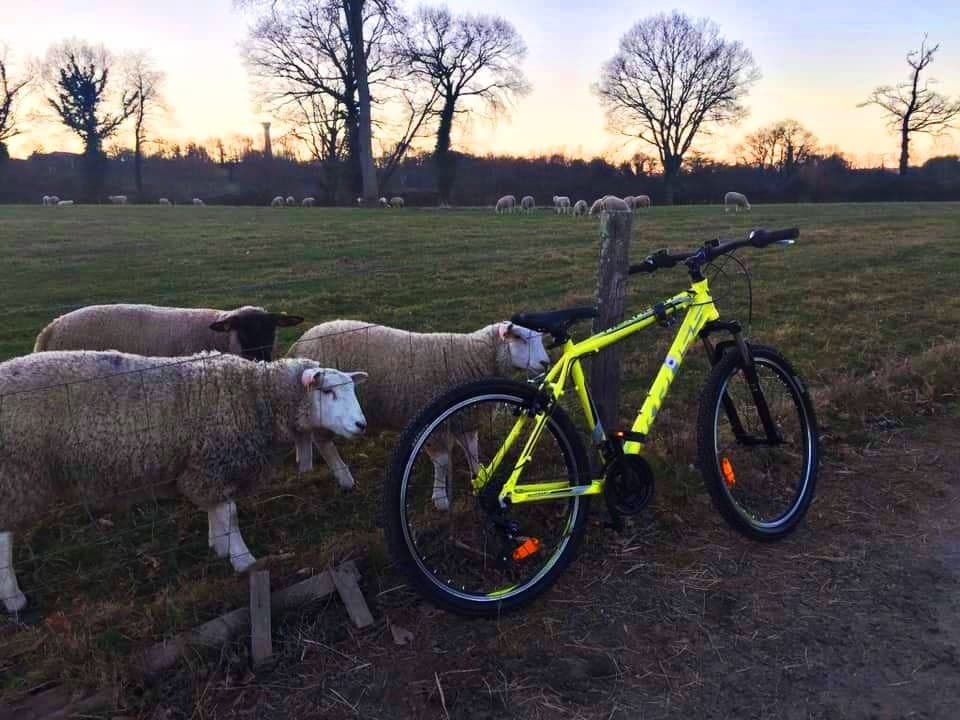 BikeHireDirect's tweet photo. Enjoy a #bikeride in #HauteVienne &amp; make friends with some local residents!
Get close to nature on your holiday in #Limousin - contact David at @HV87Bikes for great value #bike hire!  
#velo #NouvelleAquitaine #France #BikeHireDirect #DispoVelo #cycling #sheep #Mouton #Vienne https://t.co/nX1BXLPqpl