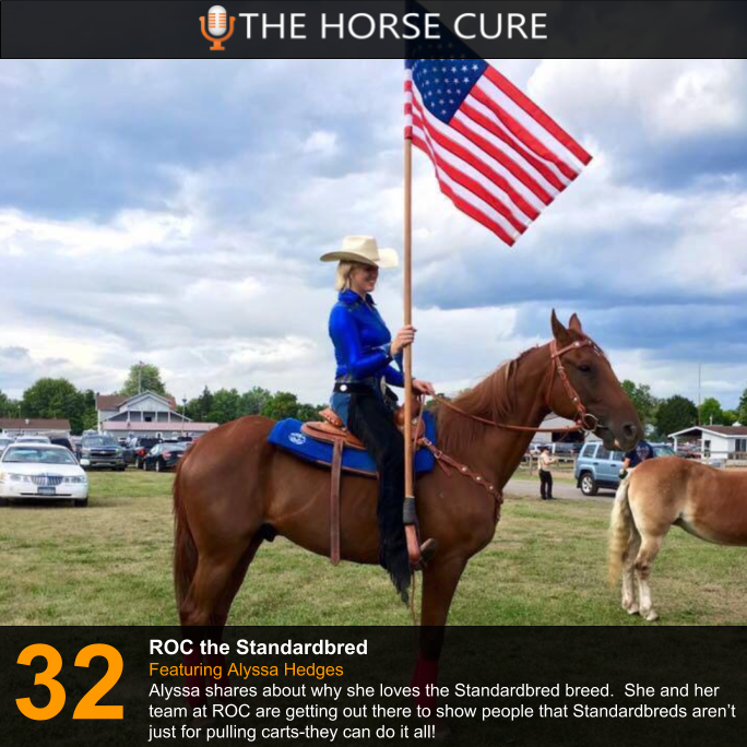 horsecurepod's tweet photo. Check out our newest episode with Alyssa Hedges and ROC The Standardbred!
#rocthestandardbred #Horses #horsepodcast #adoptastandardbred #adoptahorse #therighthorse https://t.co/pjfNXqj2cv