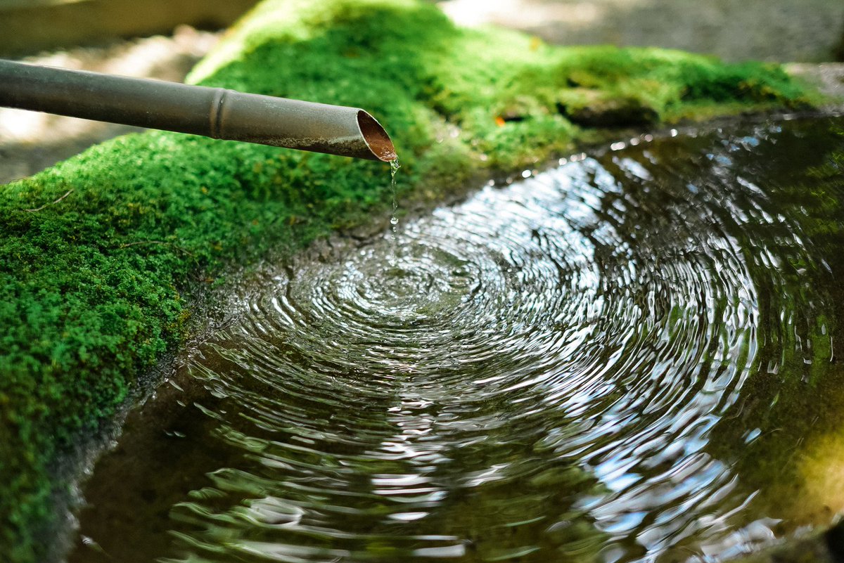 ぱくたそ公式 フリー素材 ぱくたそ 苔むした水溜りに落ちる雫からできる波紋 ぱくたそフリー素材 T Co 71nrqmuhgq