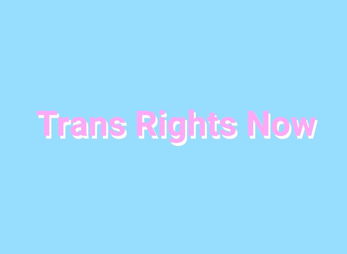 WeHeartTrans's tweet image. 