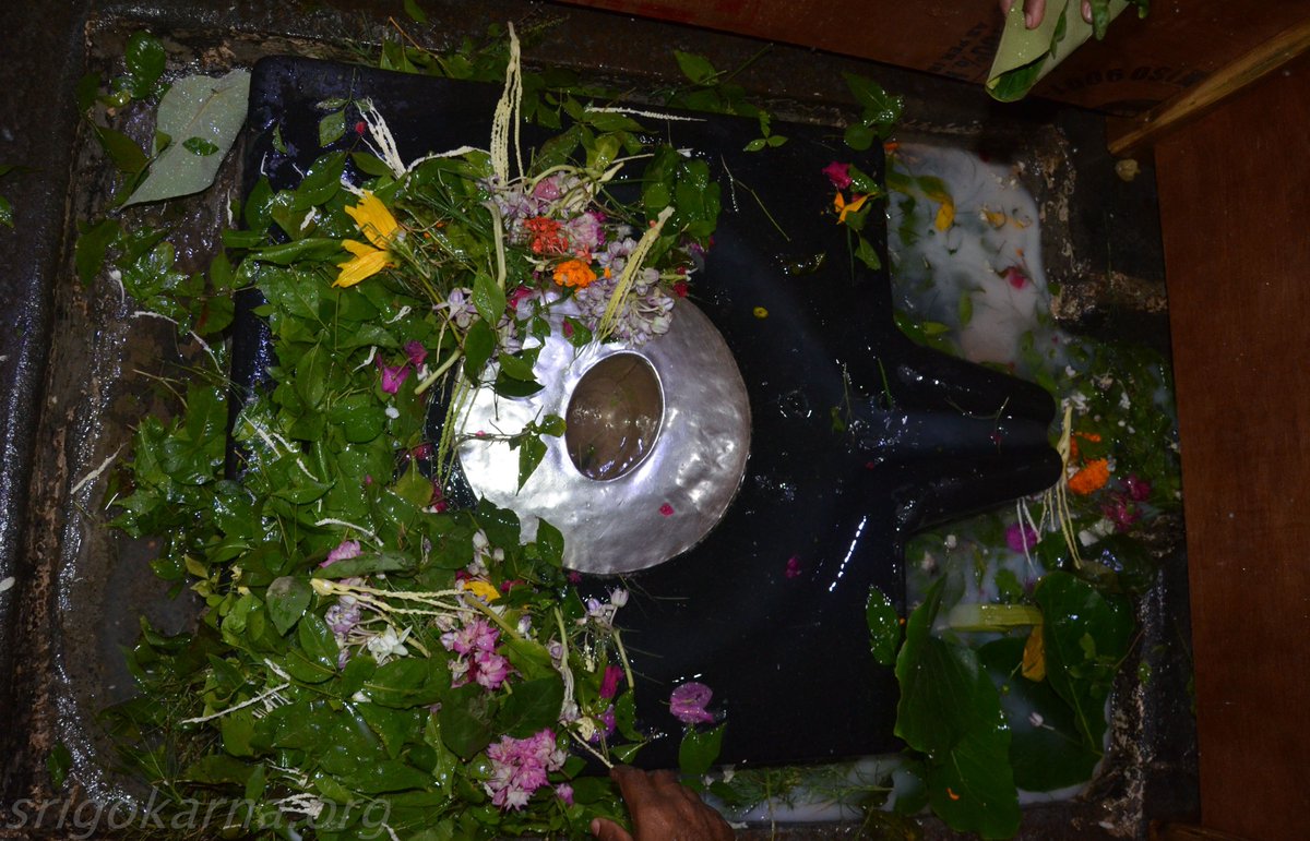 Sri Gokarna tweet media