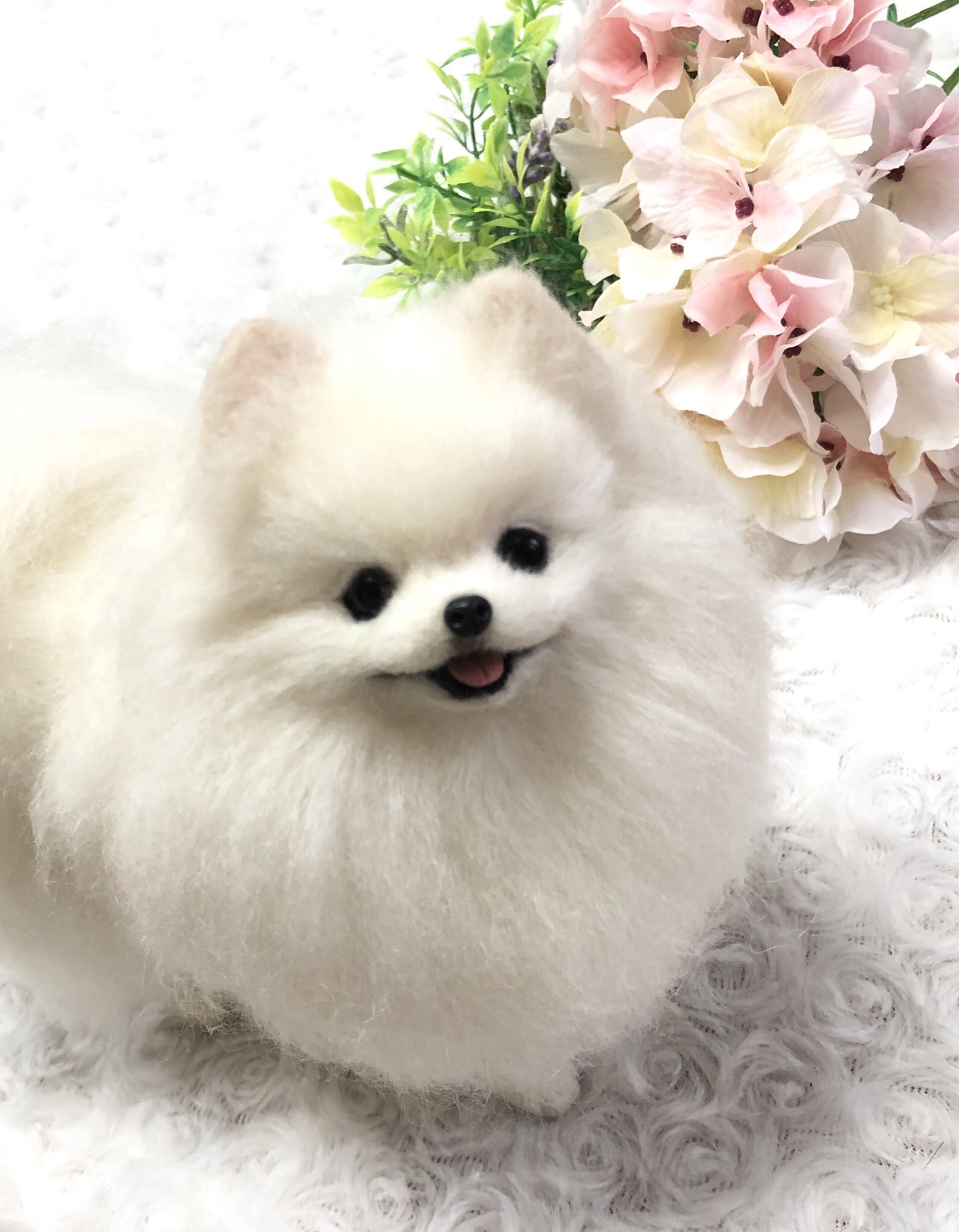 数量は多 羊毛フェルト ポメラニアン 白 ぬいぐるみ 人形 Foxfitness Ie