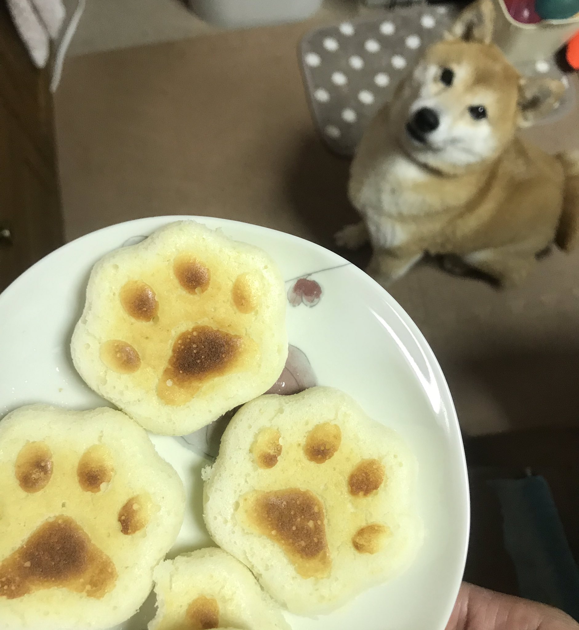 柴犬りん Yuzukosiba シリコン型をフライパンで使ってみました パンケーキは簡単で良いです Twitter