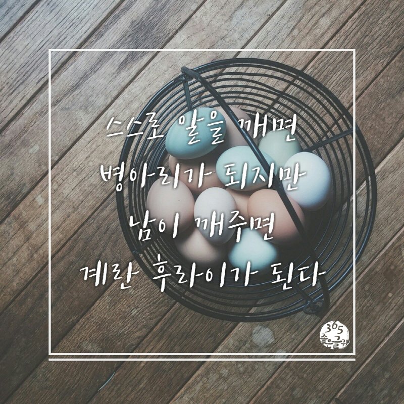 ★한줄 명언★

스스로 알을 깨면
병아리가 되지만
남이 깨주면
계란 후라이가 된다
.
bit.ly/2SFqndK
.
#명언 #어록 #한줄명언 #명언모음
#인생명언 #짧은명언 #동기부여
#자기계발 #좋은글 #명언글 #좋은글귀
#좋은글모음 #감성글 #공감