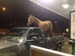 Craigflix's tweet photo. When @LilNasX said
 “I got the horses in the back” 
I felt that https://t.co/j8VLontxBX