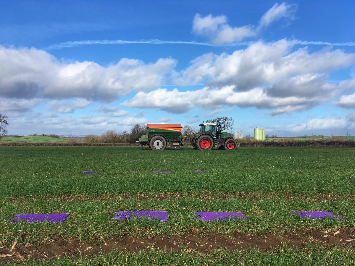 combinekeith's tweet image. A quick check while out spreading some Urea on wheat #EasyCheck 👍🏻 @Amazone