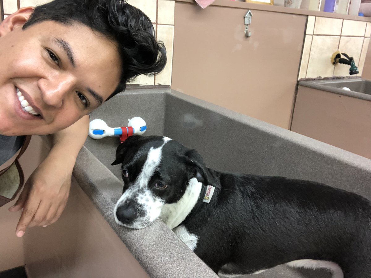 eddymorales's tweet image. Woof! #PupScrub #TryLocal #SmallBusiness #ShopLocal