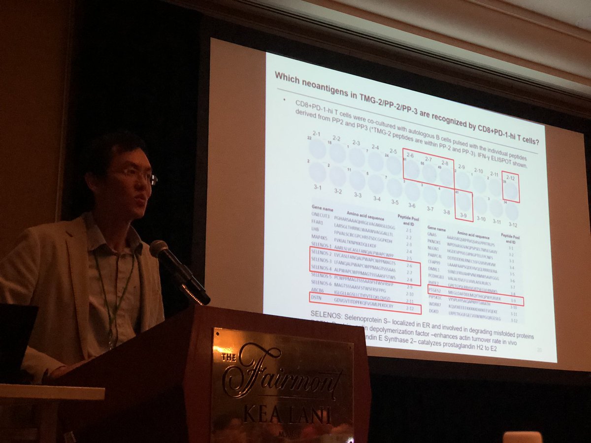 BernardAFox's tweet photo. WOW! Tour de Force! *SLIDE SET 4* Dr Eric Tran #adoptive #immunotherapy GURU @ChilesResearch & talks @agon_ox #DeepDive19 alt #ImmunoOnc19 in #Maui / pulls out #neoAg reactive T cells for #pancreatic #cancer @letswinpc @PancreaticCanUK @OfficialPCA #FinishCancer https://t.co/g89CGthx1i