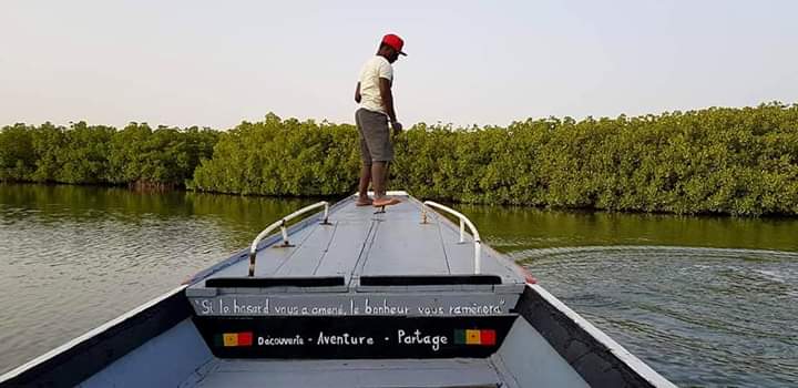 SEYDINAS's tweet photo. 🇸🇳 Le Sine Saloum 🇸🇳
  Partage - Aventure - Découverte 
#lesaventuriersdusaloum #garidi #hellodestinationsenegal #piroguesaloum #visitdestinationsenegal #sinesaloum https://t.co/aQ0MXOiD6s