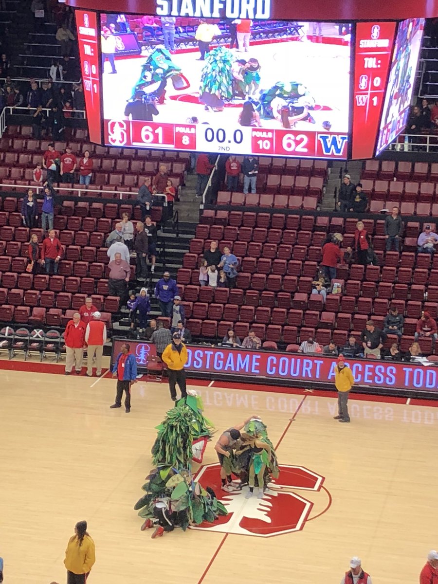 Caroline Kushel, a Stanford sophomore studying earth systems with a focus on sustainable agriculture, is the new Tree mascot for <a href="/GoStanford/">Stanford Cardinal 🌲🤓</a> starting today.