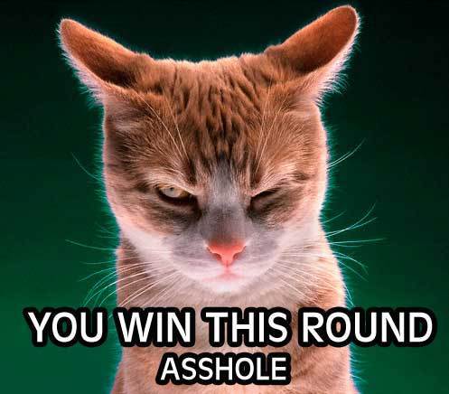 ellelljaytoo's tweet image. I #WouldntWantToLose to this cat. 

@HashtagAfterDrk 

#SleepWithOneEyeOpen