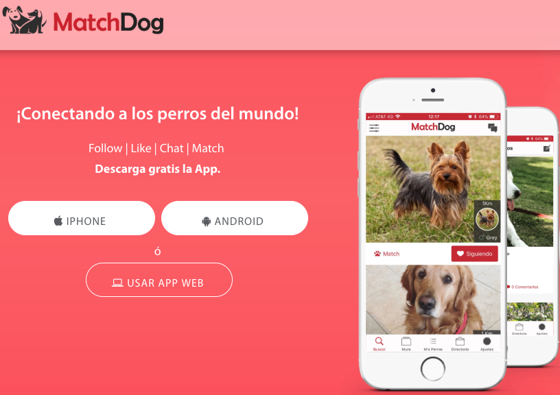 JimenezLandin's tweet photo. La red social para las personas que aman a su perro
#MatchDog es una app que permite a los usuarios con mascotas puedan conectarse entre sí. Promueven y facilitan la adopción de estos fieles compañeros para que puedan vivir en el mejor hogar.
https://t.co/uwzHZ5b0Wf https://t.co/uoSgkSV3Uj