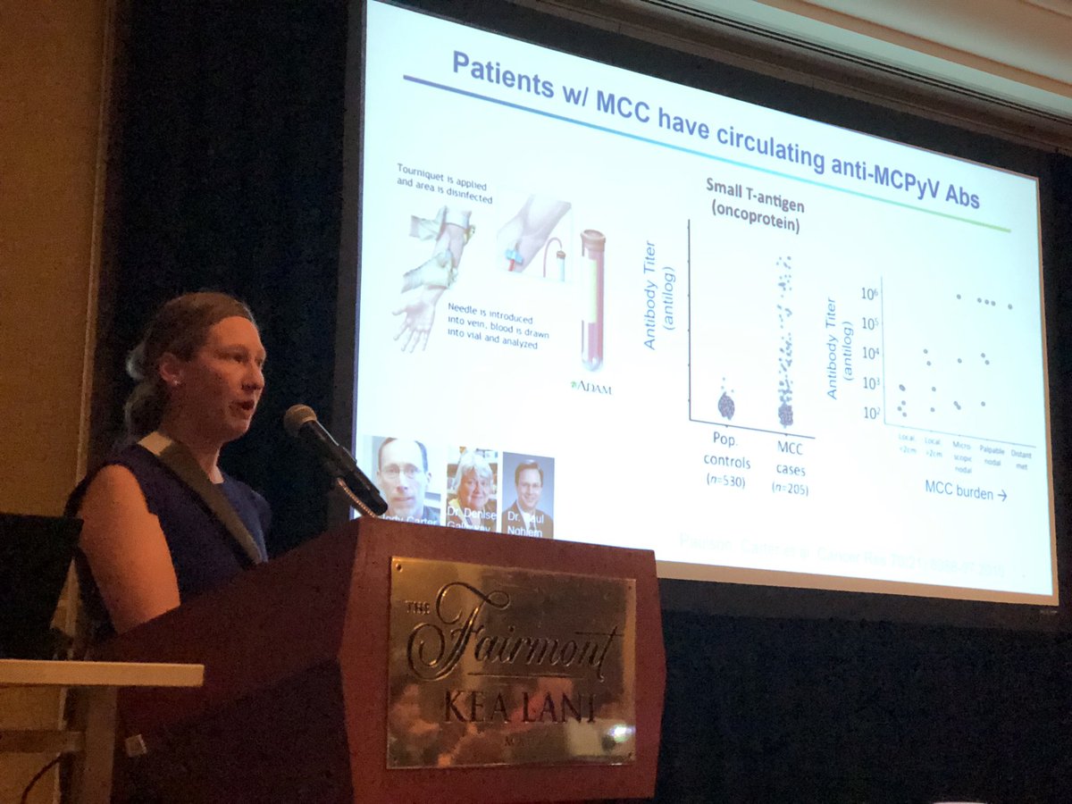 BernardAFox's tweet photo. *SLIDE SET 2* Dr @DrKellyPaulson #Merkel Cell Cancer #MCC GURU @fredhutch talks @agon_ox #DeepDive19 alt #ImmunoOnc19 in #Maui/#immunotherapy for MCC - going fast /history of virus/anti #PD1 approval & #adoptive #immunotherapy #FinishCancer https://t.co/YByU2YKjmz