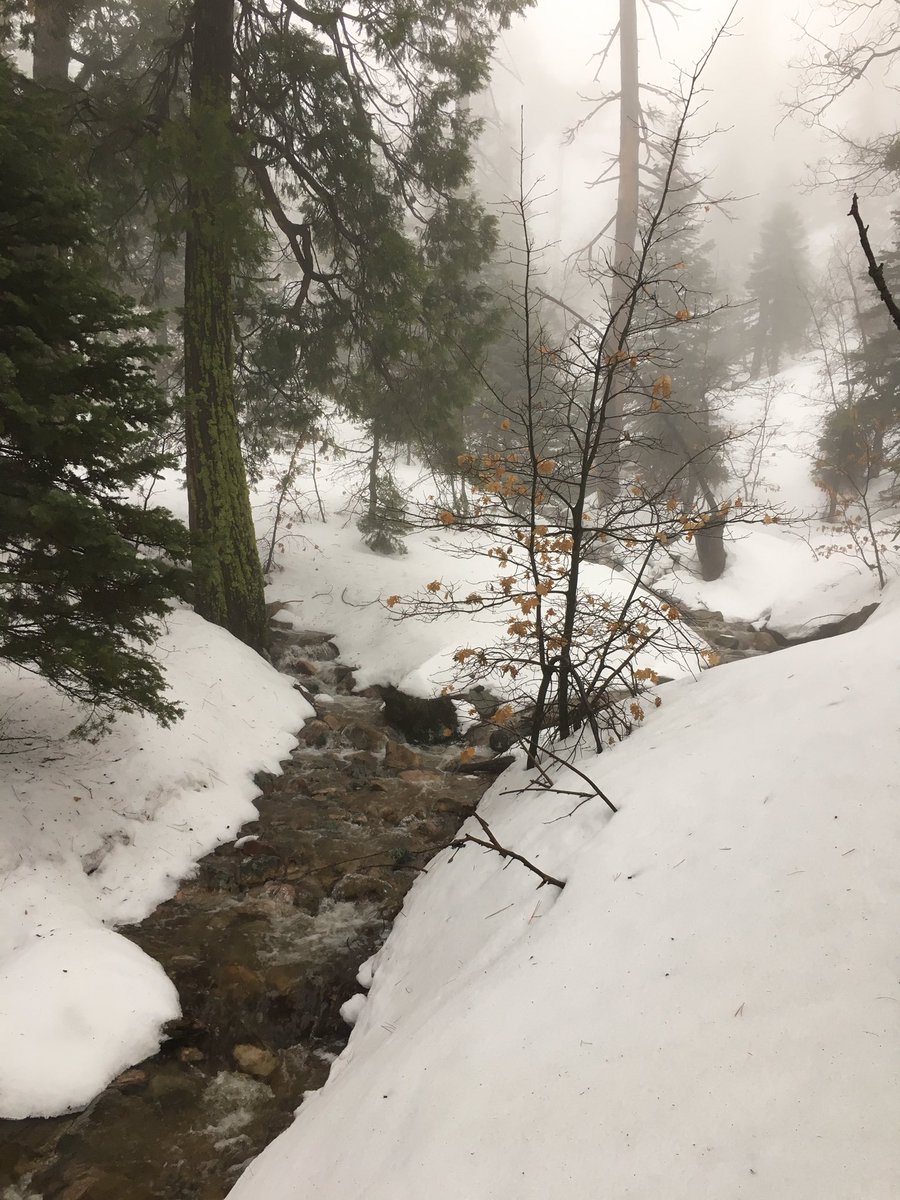 HikesJason's tweet photo. Went snowshoeing in the rain yesterday. 3.95 miles 513 ft elevation gain 2.2 mph Help me help Wish kids: https://t.co/HeeofKbOUL https://t.co/nwcJWq07ql