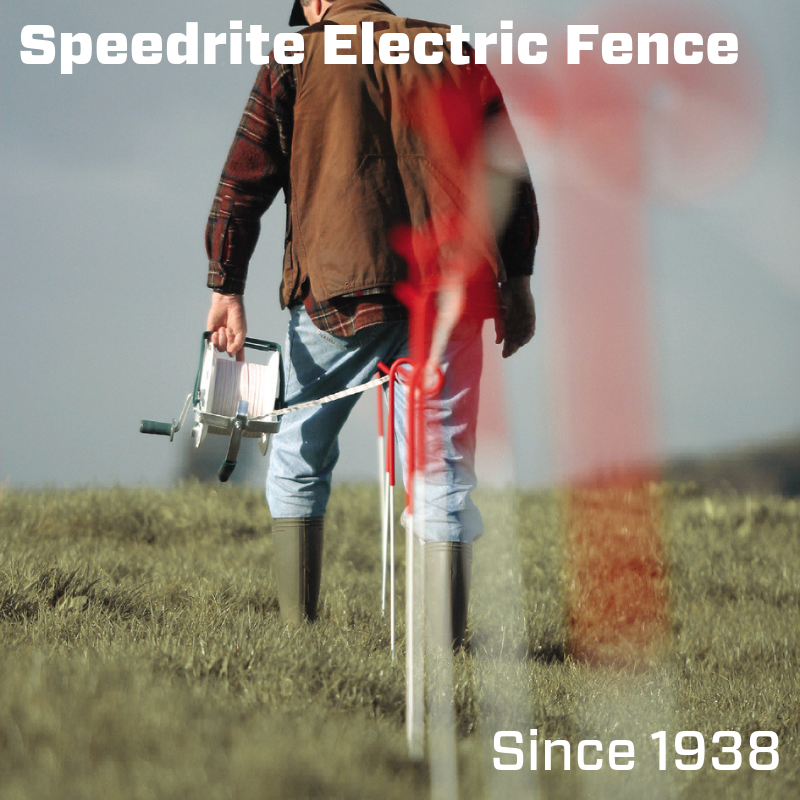 SpeedriteFence's tweet photo. We offer a full line of electric fencing solutions to meet your needs. Learn more: https://t.co/ZKHsfQAcmb

#Speedrite #ElectricFence https://t.co/FKqIdt1ksR
