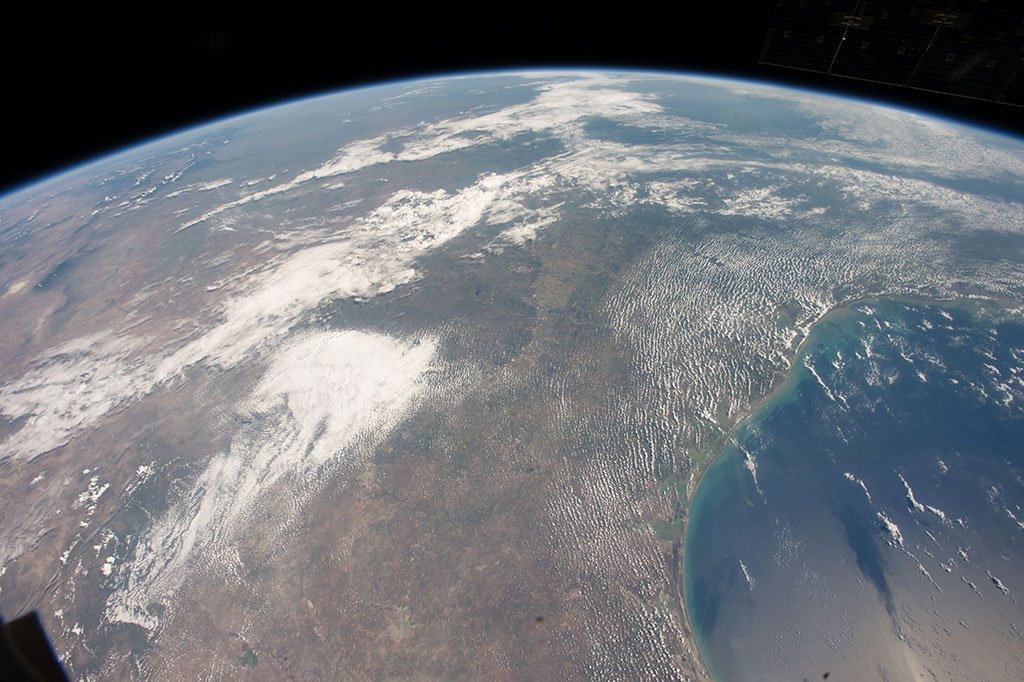 csa_asc's tweet image. It’s #WorldWildlife Day! A large number of birds, including the endangered #WhoopingCrane, depend on coastal wetlands for survival? @RobertaBondar  explains in this #ExploringEarth feature: ow.ly/r99Q30nTloa. Photo: NASA/@RBondarFdn #SpaceforBirds #AMASSFlight #birdwatching
