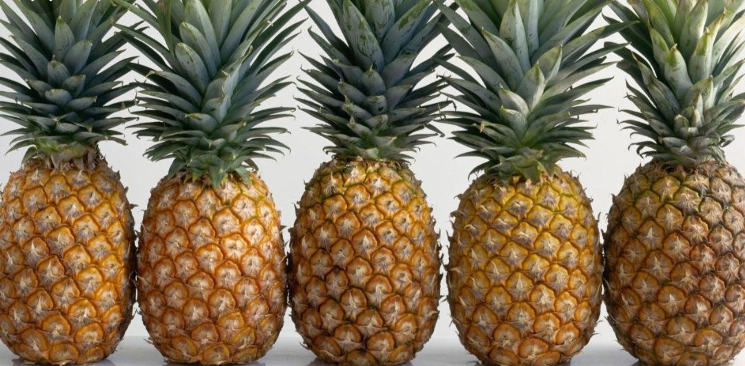 mrSpringtrap34's tweet image. All of us are pineapples, even you