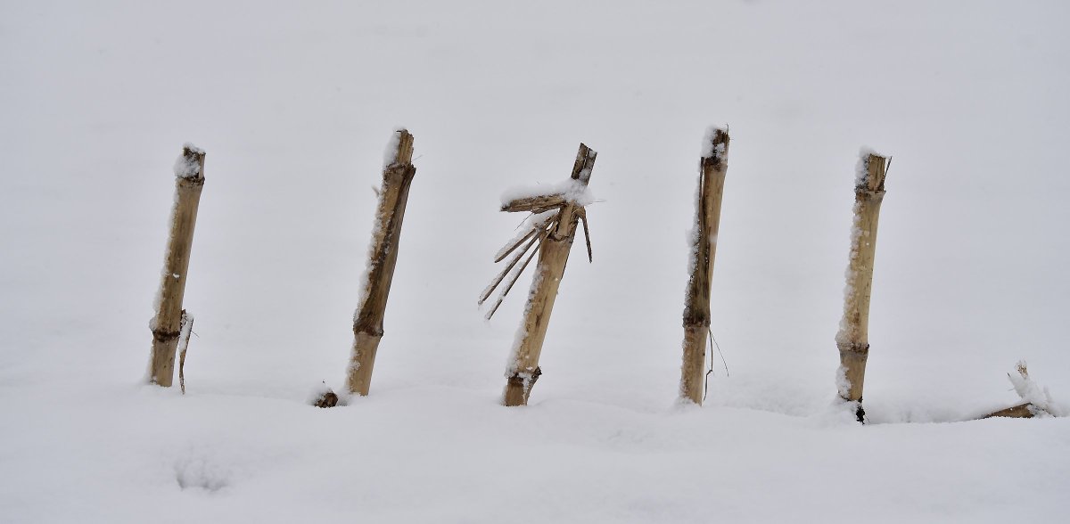 SuzetteLNP's tweet photo. Most of these photos were from Paradise, while the scenic farm was along Walnut Run on Lime Valley Road. Don't know about you, but I'm ready for spring. @LancasterOnline #lancastersnow https://t.co/pc6X2qfjXr