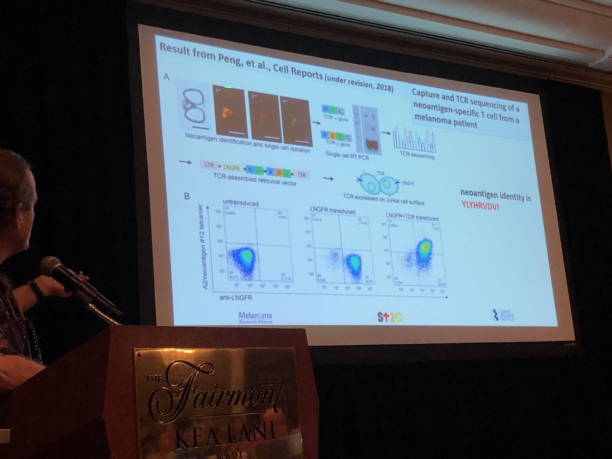 BernardAFox's tweet photo. Dr James Heath President @ISBUSA @psjh talks @agon_ox #DeepDive19 alt #ImmunoOnc19 in #Maui/ innovative approach to assess #neoAg specific T cell populations that is more sensitive than FLOW/#FinishCancer https://t.co/c2IGgVoziG
