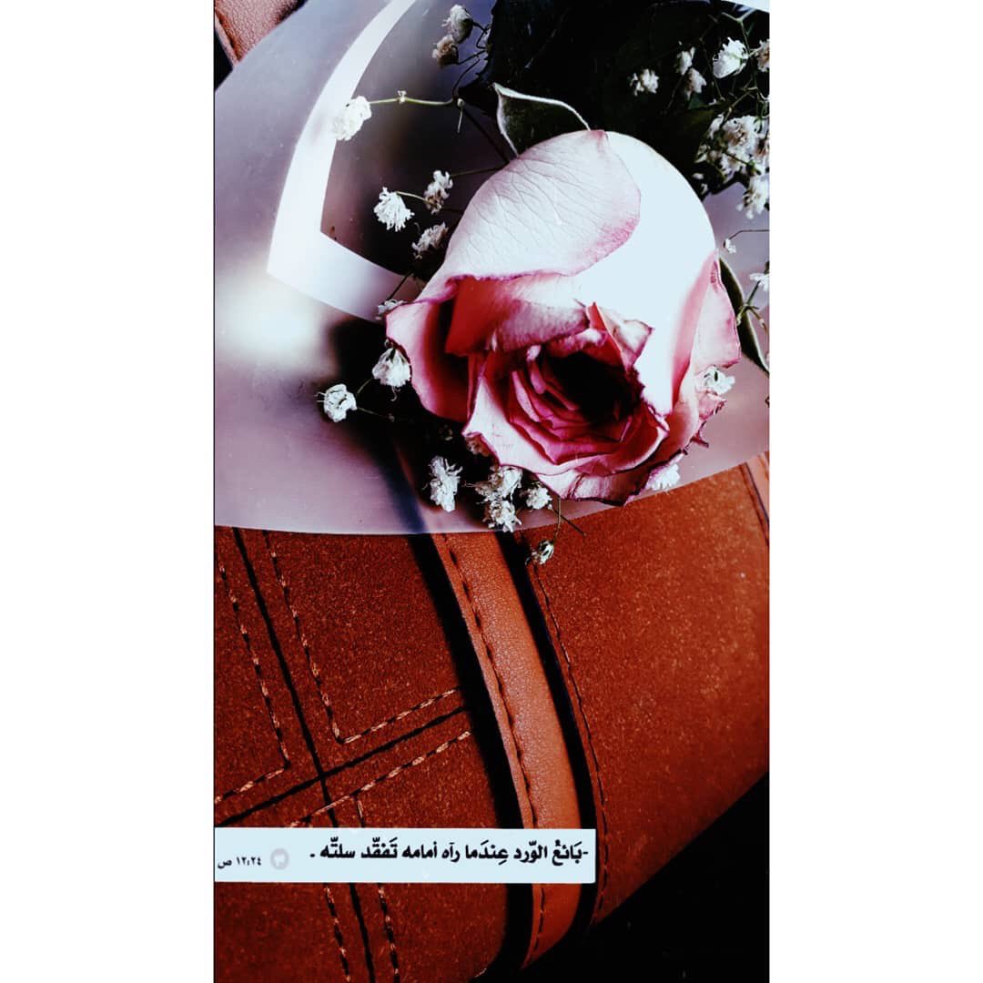 رّحّيّلّ اّلّقّوّاّفّيّ tweet media