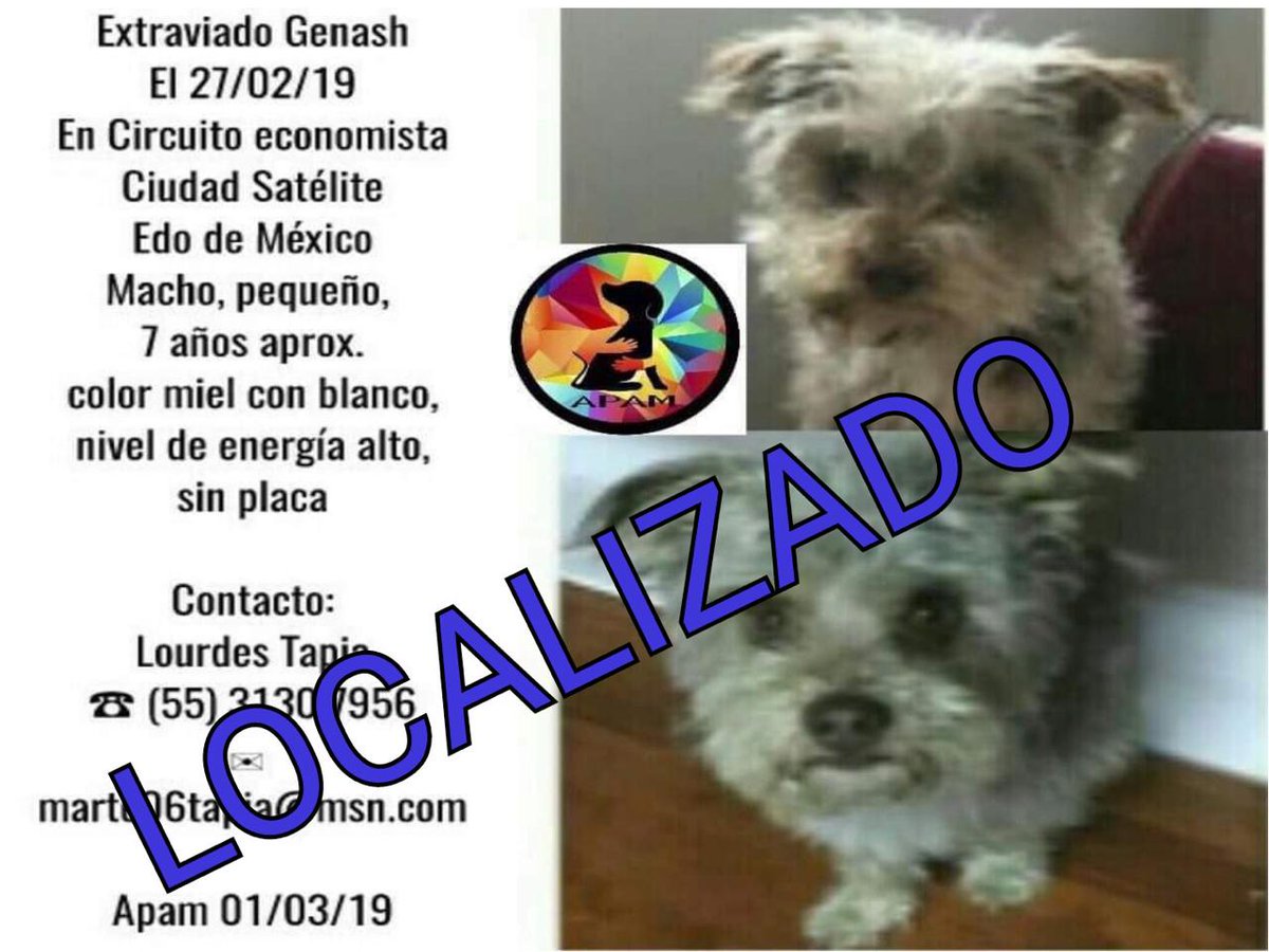lawera33's tweet photo. ππππππβ£οΈπβ€οΈ
#FinalFeliz #GENASH ya estΓ‘ en su Hogar con su #Familia πͺππͺ
Gracias por haberle dado #RT a nuestras publicaciones πππβ£οΈ
#LaWera33 #PerrosPerdidos #PerrosPerdidosMx https://t.co/iF02W9e9Tu