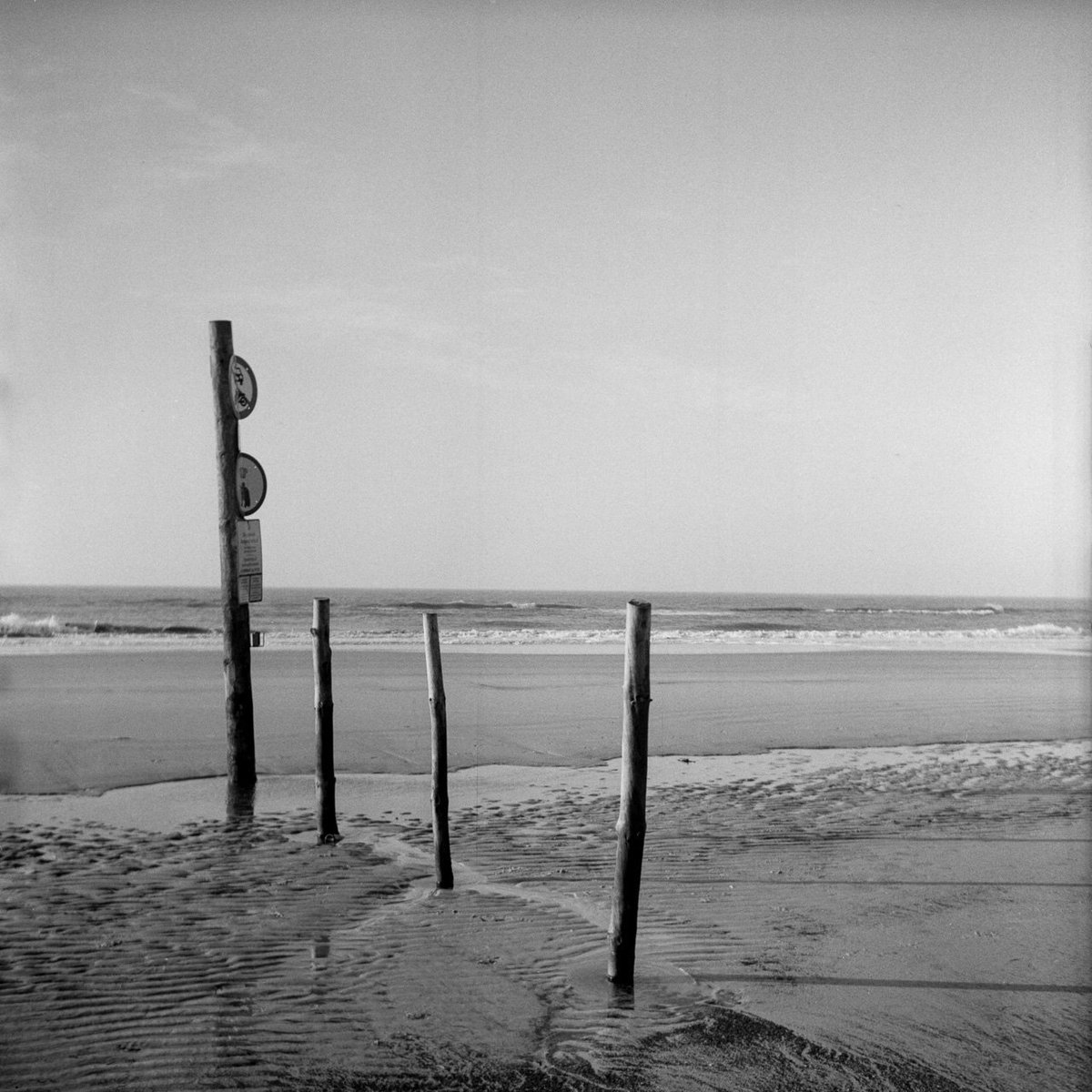grmpyhpstrmk's tweet photo. Danish beachtime

📷: Lomo Lubitel 166B
🎞: @ILFORDPhoto HP5+
⚗️: Ilford ID-11 Stock

#vejers #beach #denmark #grainisgood #ishootfilm #selfdeveloped #hp5plus #id11 #ilfordfilm #120mm #lomo #lubitel #ilfordphoto https://t.co/sNsxRyyayk