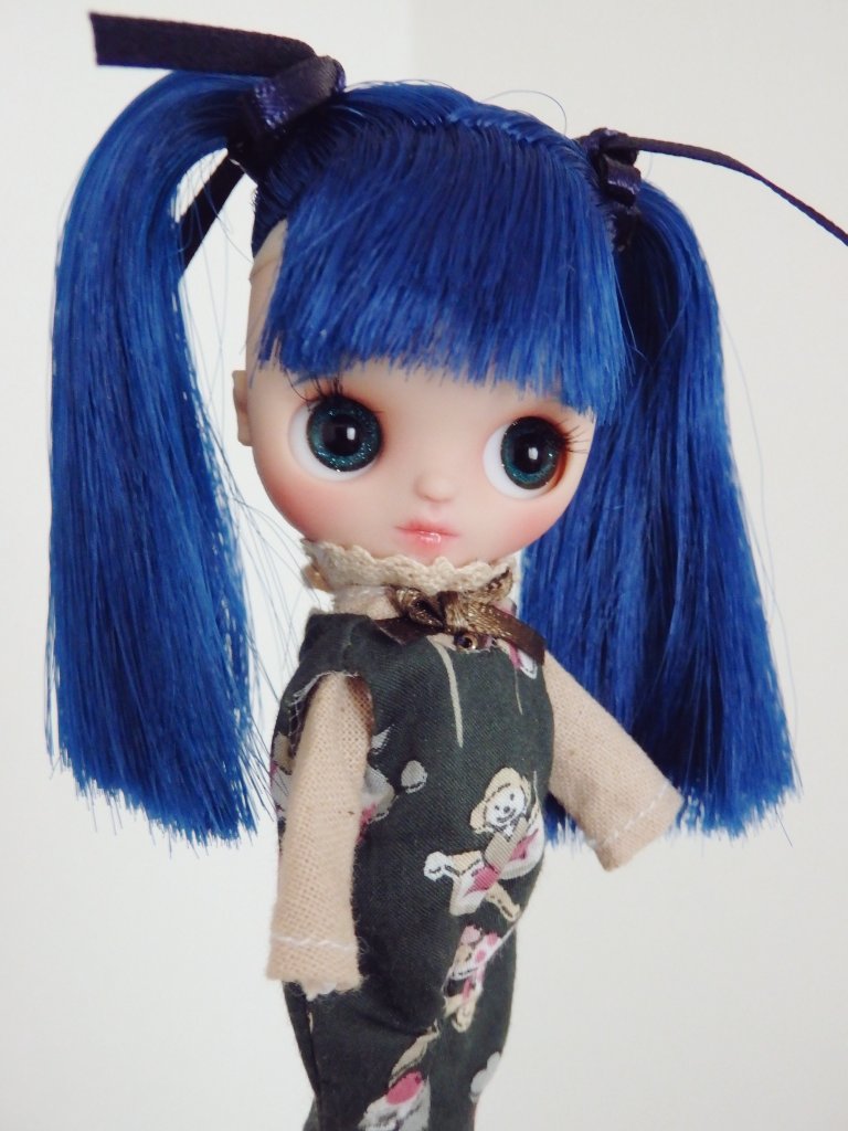 レトロマッチラベル 北欧デザイン 鳥 プチブライスサイズ♥ドレス600円
