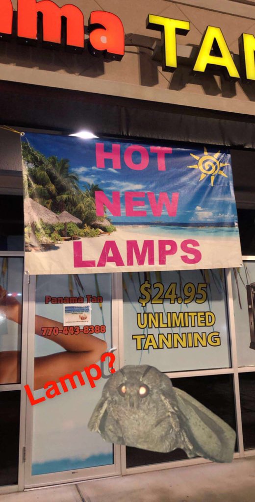 natalie_hardy14's tweet photo. I’m always here for a moth meme... #lamp #mothlamp #moth https://t.co/ctxDvCUmLP