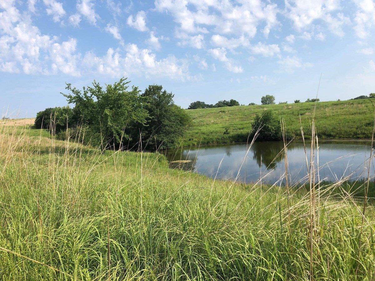 New full-year lease: 230 acres in Macon County located just west of Ethel, Missouri. It offers 115 acres of tall native american grasses and timber with 115 acres of row crop.

Full year lease: $4650
Details: bit.ly/230MaconCounty

#hunting #whitetail #deerhunting