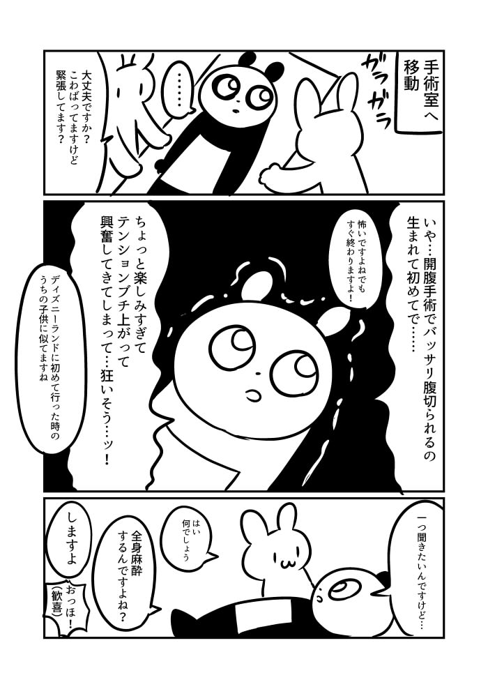 ぬら次郎 ねこパン日記 3巻2 12発売 続きです 全身麻酔で開腹手術した時の事