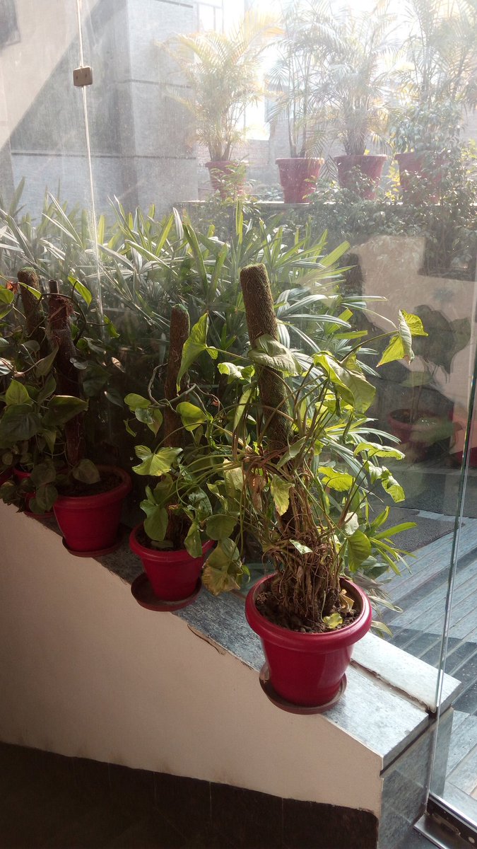 Vikaskrishna_'s tweet photo. D-25, Good Morning to All, Every New Day is Another Chance to Change Your Life. #PresentSir #BITeam @Banginthemiddle @googlegupta https://t.co/draZ6flmv1