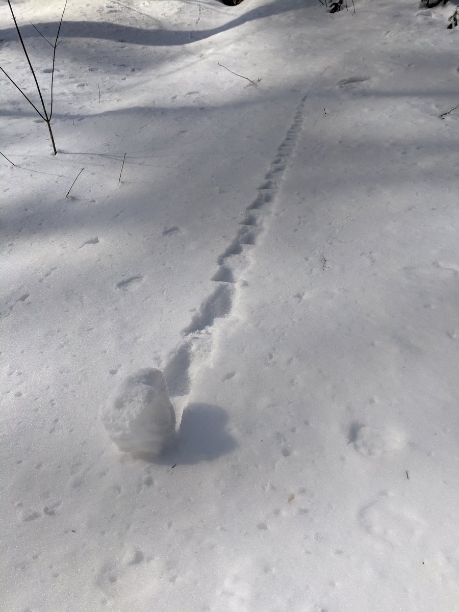 BariPAClock's tweet photo. #Trifecta 🏇of a winning day today!
Hiking outdoors with my #Tribe of family and friends, in the late #WinterWonderland in Upstate NY⛄😎🥾
Win-Win-Win
1 Exercise 💪🏼
2 Community and Connection❤️
3 Nature ☀️❄️🏔️
#GotWellness? https://t.co/0H6MMUTXDT