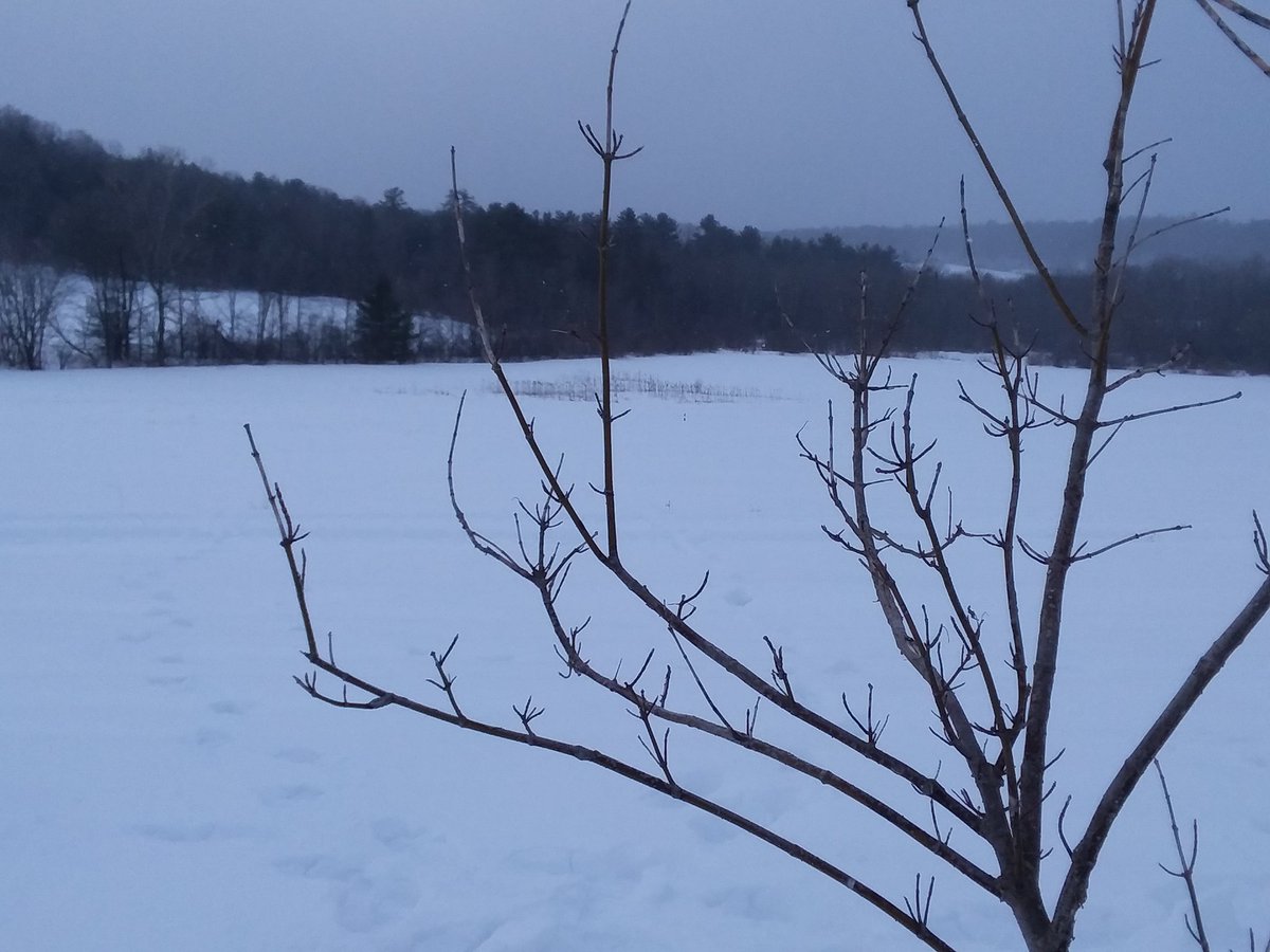 2brothersoutdoo's tweet image. As some of you know, I bought a $12 telephoto lense for my cell phone.  This little gadget just keeps amazing me. 1st two pictures there is a field dead center of the bush, 1/2 mile away. You can barley see the field. Last two pics is through that $12 lense.