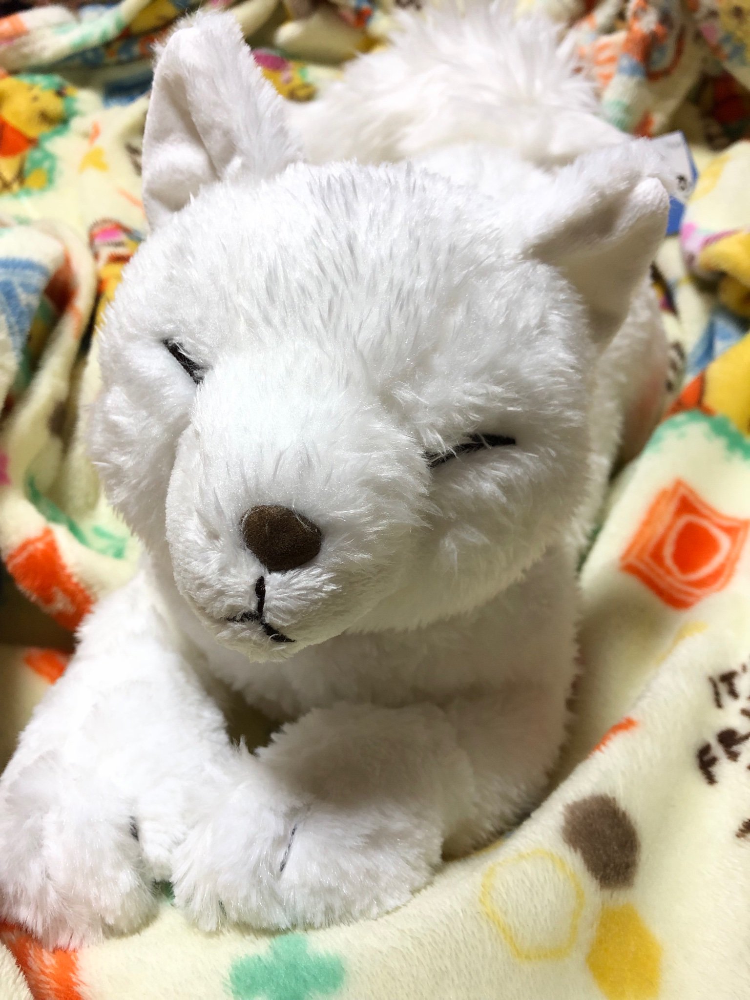 サンレモン ひざきつね ホワイト 白 Mサイズ サンレモン ひざきつね ホワイト 白 Mサイズ（もち白きつねL