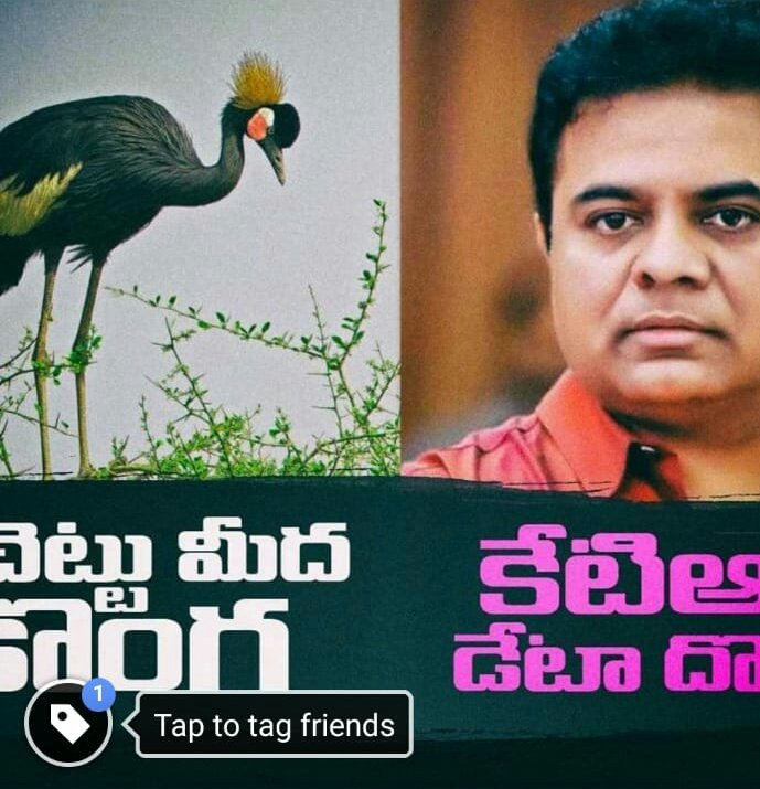 BujjiSiri6's tweet image. చీప్ ట్రిక్స్ కె.సి ఆర్.. డేటా దొంగ కె.ట్.ఆర్... గజ దొంగ జగన్.... నీచ రాజకీయాల మోదీ... వీళ్లంతా క్యమ్మక్కయి ఆంధ్రప్రదేశ్ బాగుపడకూడదని ఏ రకంగా అయినా దెబ్బ తీయాలి అని శత విధాలుగా ప్రయత్నాలు చేస్తున్నారు... ఇలా అడ్డవైన ప్రయత్నాలు చేసి దేశం మొత్తం చెడ్డ పేరు తెచ్చుకుంటున్నారు.. @ncbn