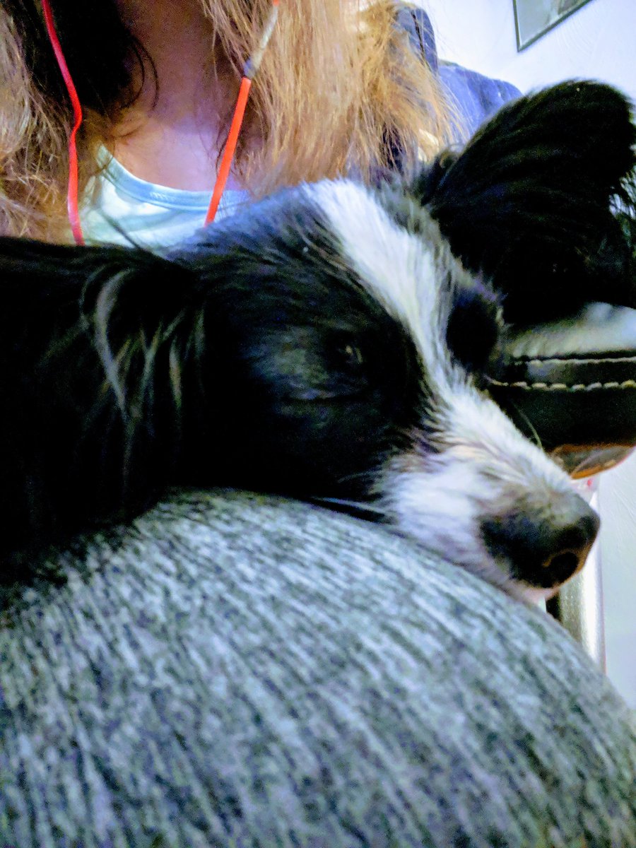 Callehluff's tweet image. Join Gigabit and I for some late night platforming and puzzling with #aboyandhisblob 
twitch.tv/callehluff